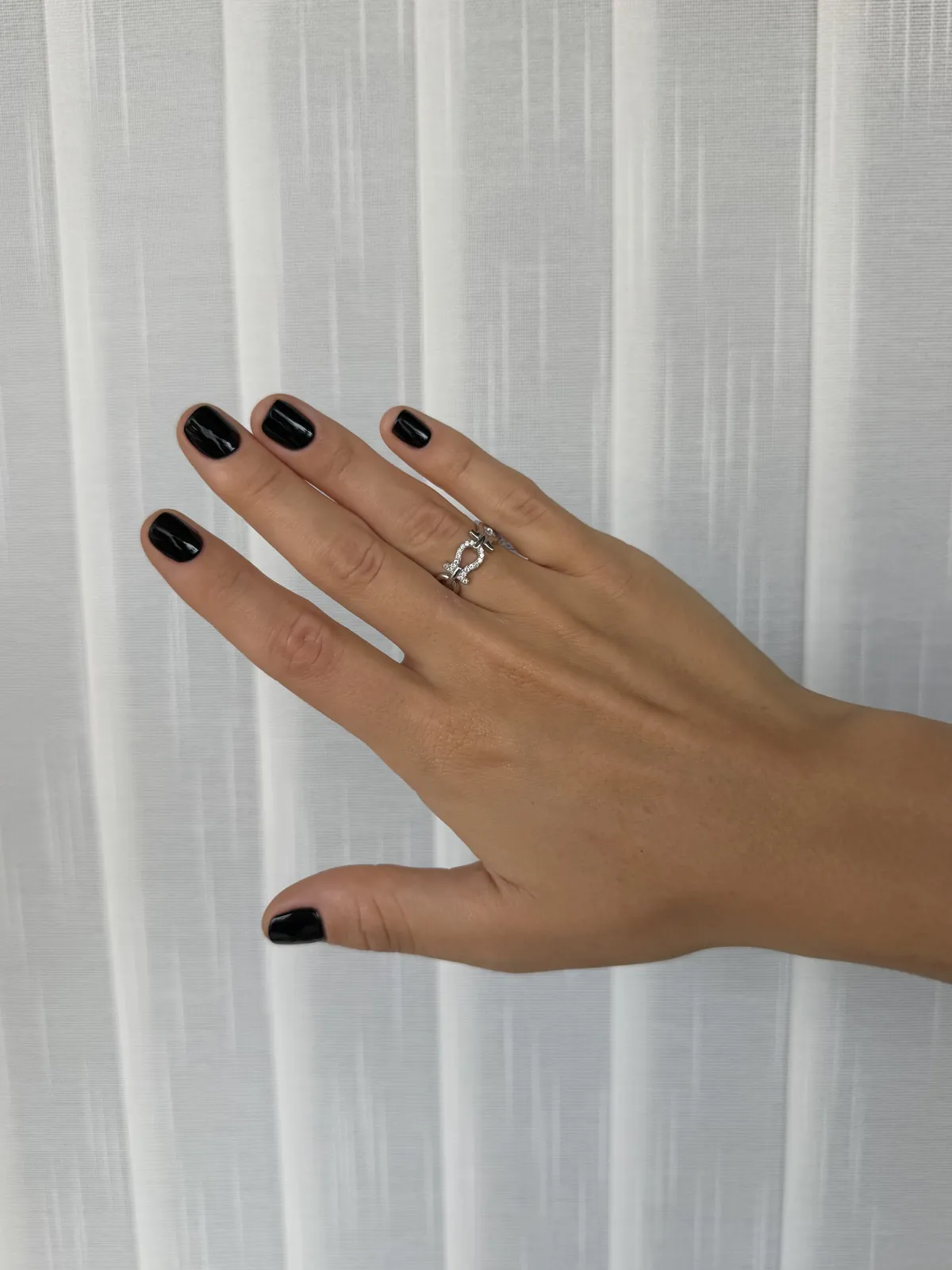 Anillo peces